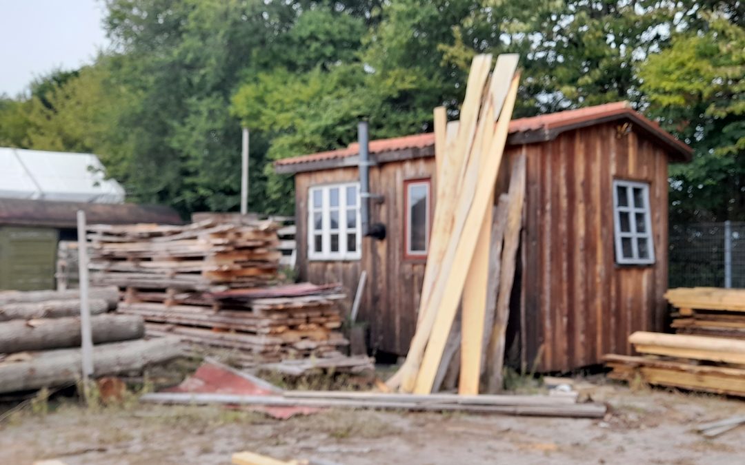 Fifth day of the workshop: Small scale sawmill and tiny houses